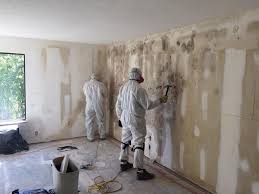 Best Industrial Mold Remediation  in Willard, MO